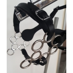 Calli Rose Hackamore Bitless Noseband